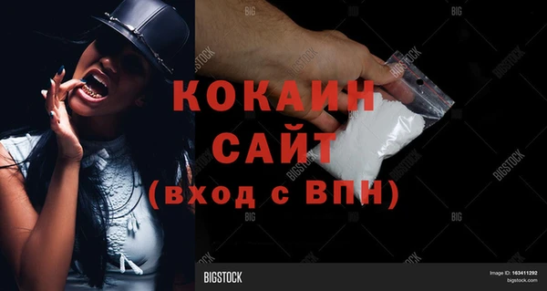 крисы Белокуриха