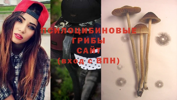 ALPHA PVP Белоозёрский