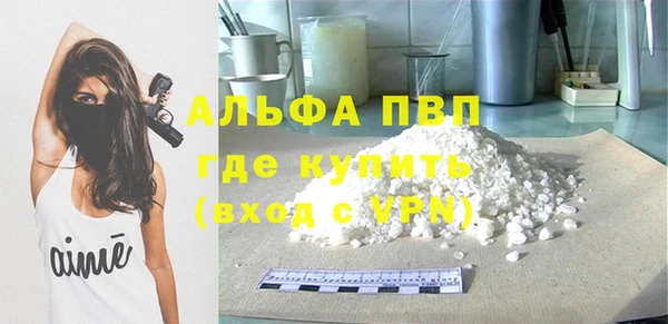крисы Белокуриха