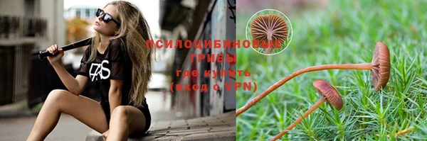 крисы Белокуриха