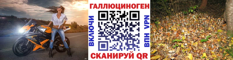 Галлюциногенные грибы Magic Shrooms  Топки 